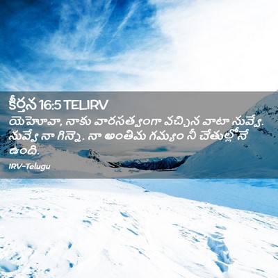 Picture 02 - కీర్తన 16:5 TELIRV - యెహోవా, నాకు - Bible Verse Picture