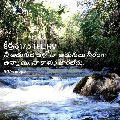 Picture 02 - కీర్తన 17:5 TELIRV - నీ అడుగుజాడల్లో - Bible Verse Picture