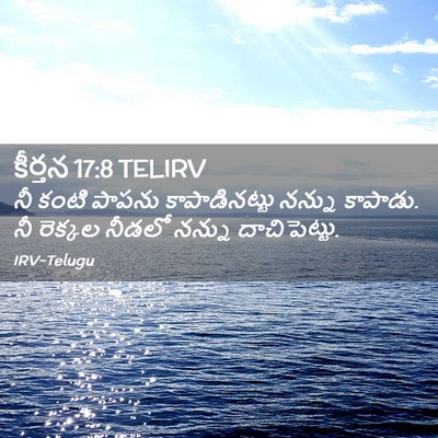 Picture 02 - కీర్తన 17:8 TELIRV - నీ కంటి పాపను - Bible Verse Picture