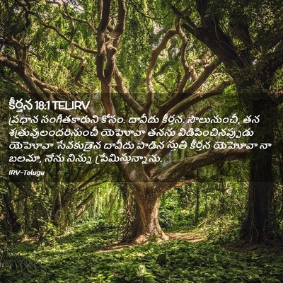 Picture 02 - కీర్తన 18:1 TELIRV - ప్రధాన - Bible Verse Picture