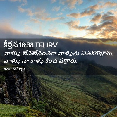 Picture 02 - కీర్తన 18:38 TELIRV - వాళ్ళు లేవలేనంతగా - Bible Verse Picture
