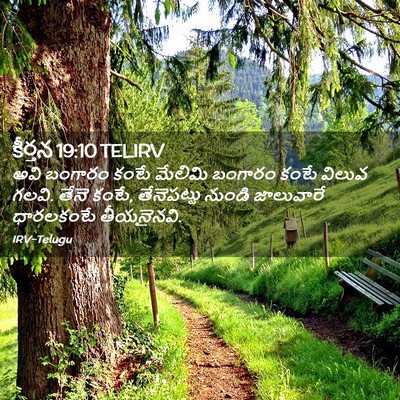 Picture 02 - కీర్తన 19:10 TELIRV - అవి బంగారం కంటే - Bible Verse Picture