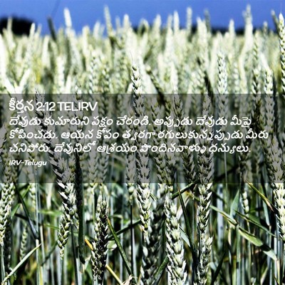 Picture 02 - కీర్తన 2:12 TELIRV - దేవుడు కుమారుని - Bible Verse Picture