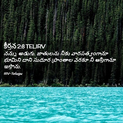 Picture 02 - కీర్తన 2:8 TELIRV - నన్ను అడుగు. - Bible Verse Picture