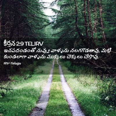 Picture 02 - కీర్తన 2:9 TELIRV - ఇనపదండంతో నువ్వు - Bible Verse Picture