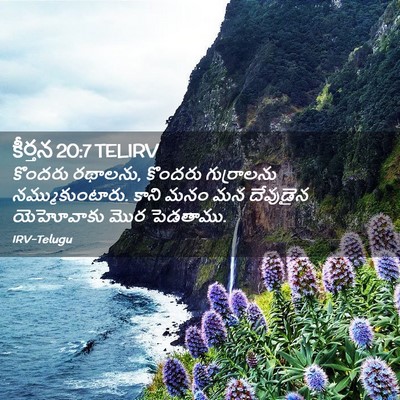 Picture 02 - కీర్తన 20:7 TELIRV - కొందరు రథాలను, - Bible Verse Picture