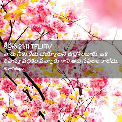 Picture 02 - కీర్తన 21:11 TELIRV - వారు నీకు కీడు - Bible Verse Picture