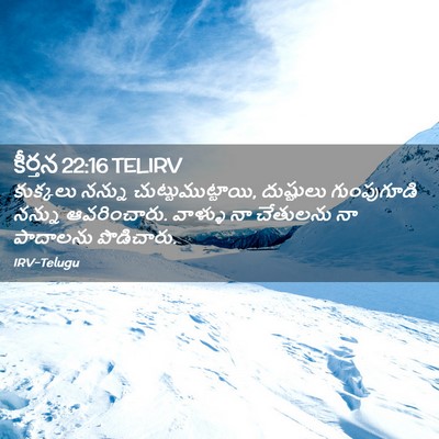 Picture 02 - కీర్తన 22:16 TELIRV - కుక్కలు నన్ను - Bible Verse Picture