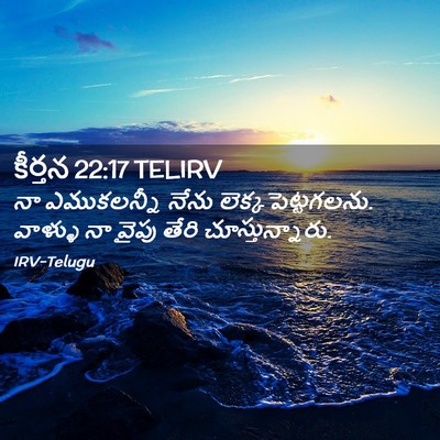 Picture 02 - కీర్తన 22:17 TELIRV - నా ఎముకలన్నీ నేను - Bible Verse Picture