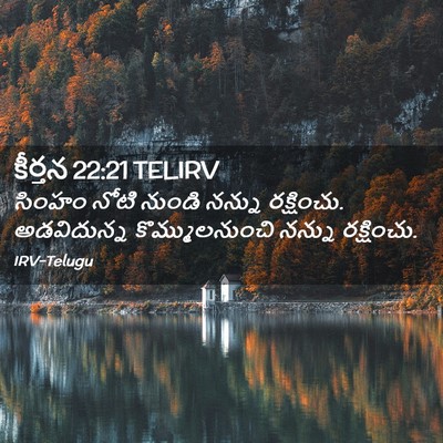 Picture 02 - కీర్తన 22:21 TELIRV - సింహం నోటి నుండి - Bible Verse Picture
