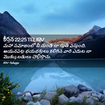 Picture 02 - కీర్తన 22:25 TELIRV - మహా సమాజంలో నీ - Bible Verse Picture