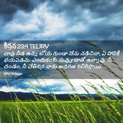 Picture 02 - కీర్తన 23:4 TELIRV - చావు నీడ ఉన్న లోయ - Bible Verse Picture