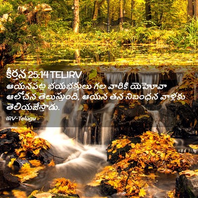 Picture 02 - కీర్తన 25:14 TELIRV - ఆయనపట్ల భయభక్తులు - Bible Verse Picture
