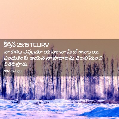 Picture 02 - కీర్తన 25:15 TELIRV - నా కళ్ళు ఎప్పుడూ - Bible Verse Picture