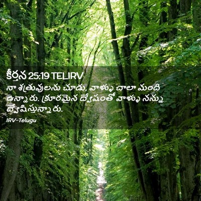 Picture 02 - కీర్తన 25:19 TELIRV - నా శత్రువులను - Bible Verse Picture