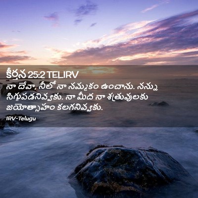 Picture 02 - కీర్తన 25:2 TELIRV - నా దేవా, నీలో నా - Bible Verse Picture