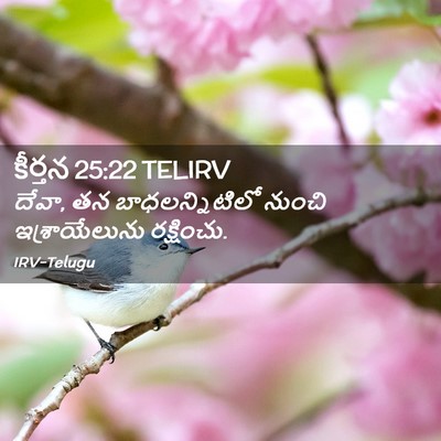 Picture 02 - కీర్తన 25:22 TELIRV - దేవా, తన - Bible Verse Picture