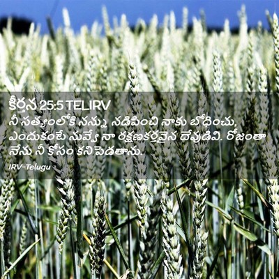 Picture 02 - కీర్తన 25:5 TELIRV - నీ సత్యంలోకి - Bible Verse Picture