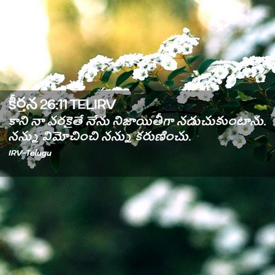 Picture 02 - కీర్తన 26:11 TELIRV - కాని నా వరకైతే - Bible Verse Picture