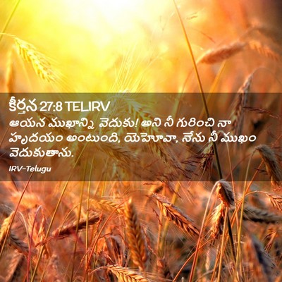 Picture 02 - కీర్తన 27:8 TELIRV - ఆయన ముఖాన్ని - Bible Verse Picture