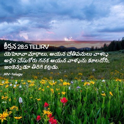 Picture 02 - కీర్తన 28:5 TELIRV - యెహోవా మార్గాలు, - Bible Verse Picture