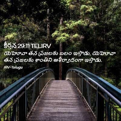 Picture 02 - కీర్తన 29:11 TELIRV - యెహోవా తన ప్రజలకు - Bible Verse Picture