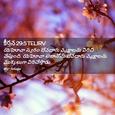 Picture 02 - కీర్తన 29:5 TELIRV - యెహోవా స్వరం - Bible Verse Picture