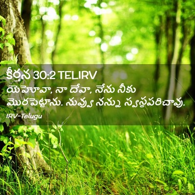 Picture 02 - కీర్తన 30:2 TELIRV - యెహోవా, నా దేవా, - Bible Verse Picture