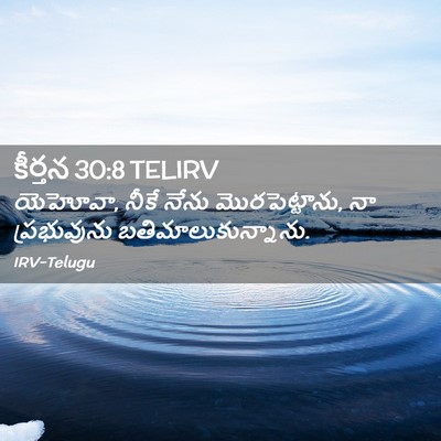 Picture 02 - కీర్తన 30:8 TELIRV - యెహోవా, నీకే నేను - Bible Verse Picture