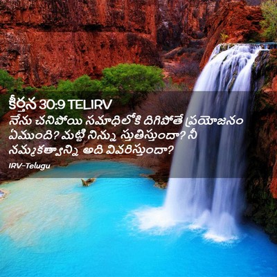 Picture 02 - కీర్తన 30:9 TELIRV - నేను చనిపోయి - Bible Verse Picture