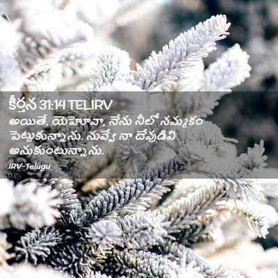 Picture 02 - కీర్తన 31:14 TELIRV - అయితే, యెహోవా, నేను - Bible Verse Picture