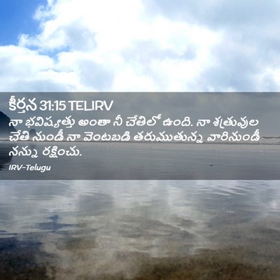 Picture 02 - కీర్తన 31:15 TELIRV - నా భవిష్యత్తు - Bible Verse Picture