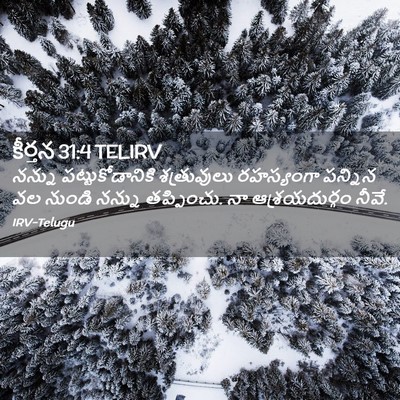 Picture 02 - కీర్తన 31:4 TELIRV - నన్ను - Bible Verse Picture
