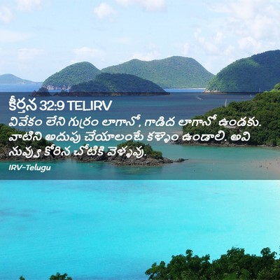 Picture 02 - కీర్తన 32:9 TELIRV - వివేకం లేని - Bible Verse Picture