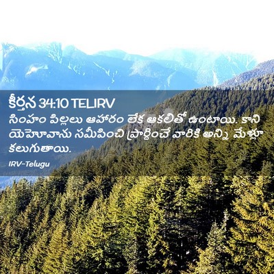 Picture 02 - కీర్తన 34:10 TELIRV - సింహం పిల్లలు - Bible Verse Picture