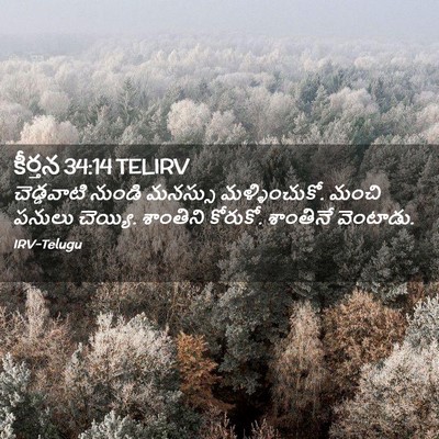 Picture 02 - కీర్తన 34:14 TELIRV - చెడ్డవాటి నుండి - Bible Verse Picture