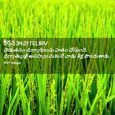 Picture 02 - కీర్తన 34:21 TELIRV - చెడుతనం - Bible Verse Picture