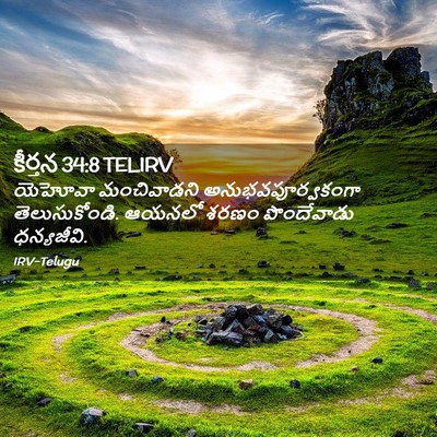 Picture 02 - కీర్తన 34:8 TELIRV - యెహోవా మంచివాడని - Bible Verse Picture