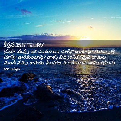 Picture 02 - కీర్తన 35:17 TELIRV - ప్రభూ, నువ్వు ఇక - Bible Verse Picture