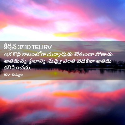 Picture 02 - కీర్తన 37:10 TELIRV - ఇక కొద్ది - Bible Verse Picture