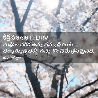 Picture 02 - కీర్తన 37:16 TELIRV - దుష్టుల దగ్గర - Bible Verse Picture