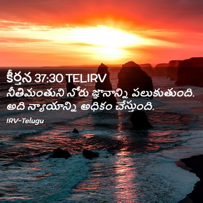 Picture 02 - కీర్తన 37:30 TELIRV - నీతిమంతుని నోరు - Bible Verse Picture