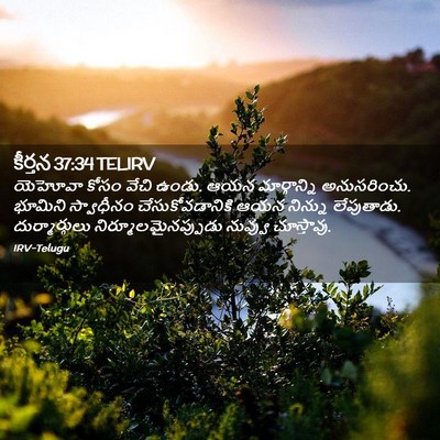 Picture 02 - కీర్తన 37:34 TELIRV - యెహోవా కోసం వేచి - Bible Verse Picture