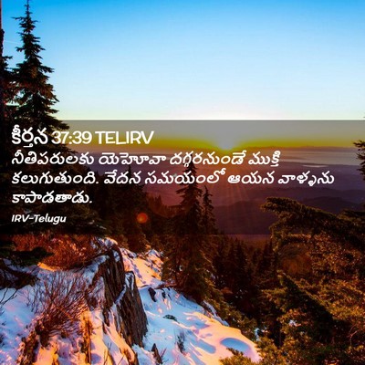 Picture 02 - కీర్తన 37:39 TELIRV - నీతిపరులకు యెహోవా - Bible Verse Picture