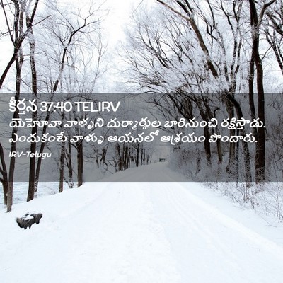 Picture 02 - కీర్తన 37:40 TELIRV - యెహోవా వాళ్ళని - Bible Verse Picture