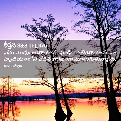 Picture 02 - కీర్తన 38:8 TELIRV - నేను - Bible Verse Picture