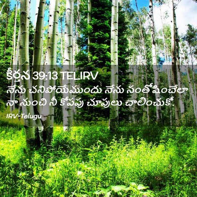 Picture 02 - కీర్తన 39:13 TELIRV - నేను చనిపోయేముందు - Bible Verse Picture