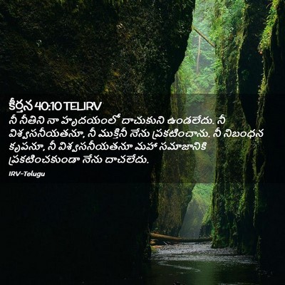 Picture 02 - కీర్తన 40:10 TELIRV - నీ నీతిని నా - Bible Verse Picture