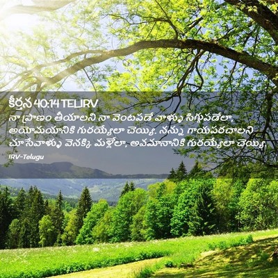 Picture 02 - కీర్తన 40:14 TELIRV - నా ప్రాణం తీయాలని - Bible Verse Picture
