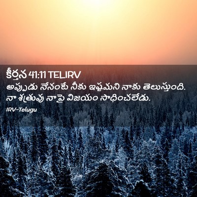 Picture 02 - కీర్తన 41:11 TELIRV - అప్పుడు నేనంటే - Bible Verse Picture